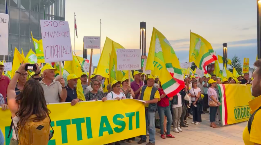 &quot;Basta cinghiali&quot;: manifestazione di Coldiretti sotto al grattacielo della Regione Piemonte [video]