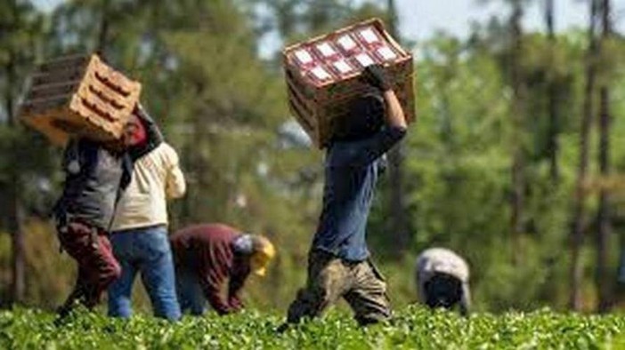 Lotta al caporalato e sistema di accoglienza, Saluzzo e il Piemonte sono un modello positivo a livello nazionale