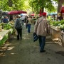 La spesa a &quot;km zero&quot; taglia del 70% il cibo che finisce in pattumiera