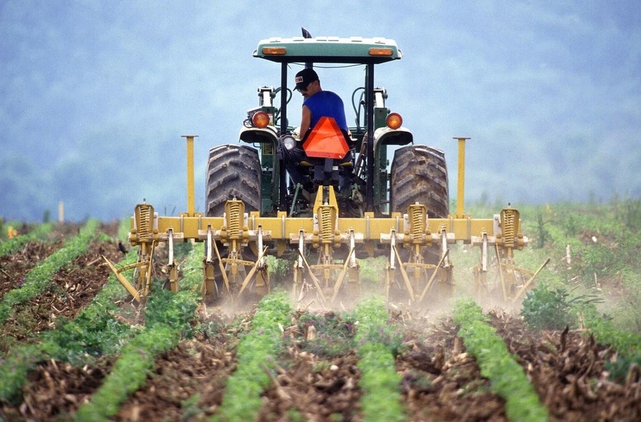 Coldiretti lancia l'allarme, nei campi italiani mancano almeno centomila lavoratori