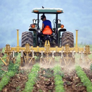 Coldiretti lancia l'allarme, nei campi italiani mancano almeno centomila lavoratori