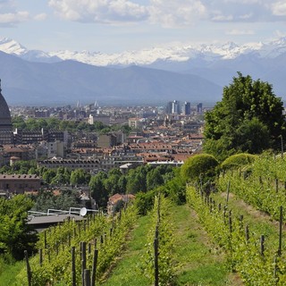 Torino non chiude per ferie: ristoranti aperti ad agosto in tutti i quartieri della città